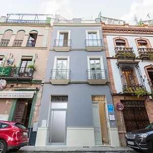 Loft Duplex Wall Seville